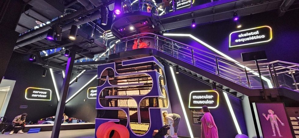 Roto designs Da Vinci Science Center exhibits Immersive Body Climber