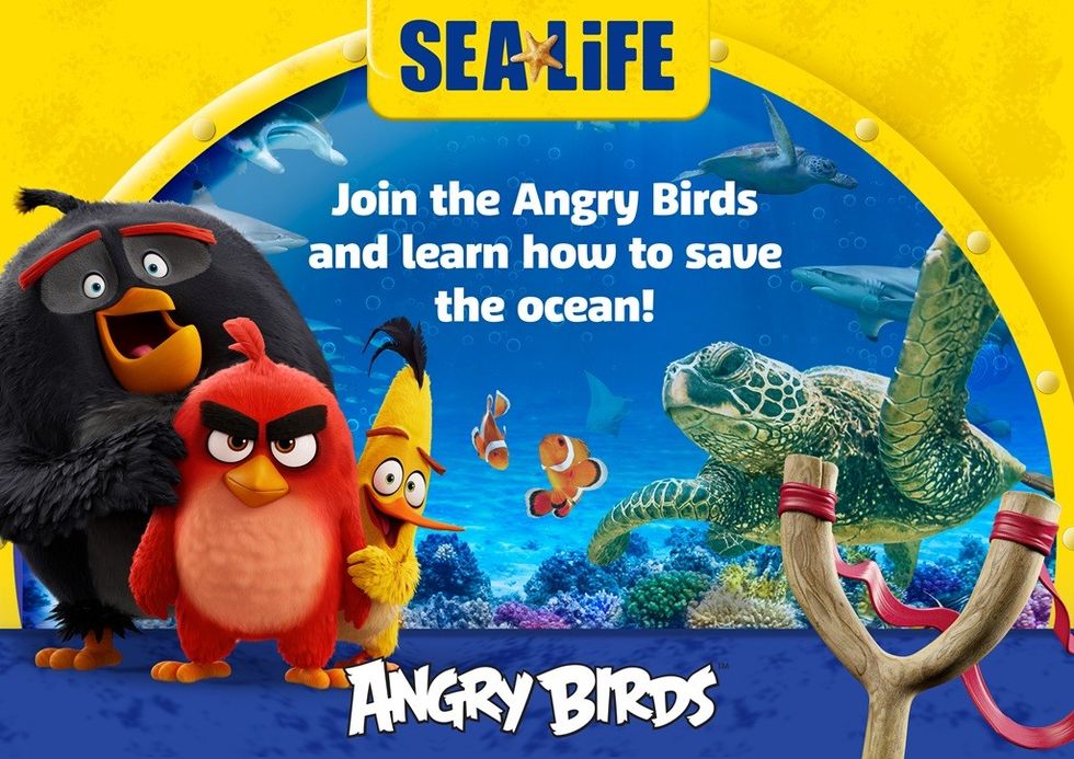 Rovio Angry Birds Sea Life