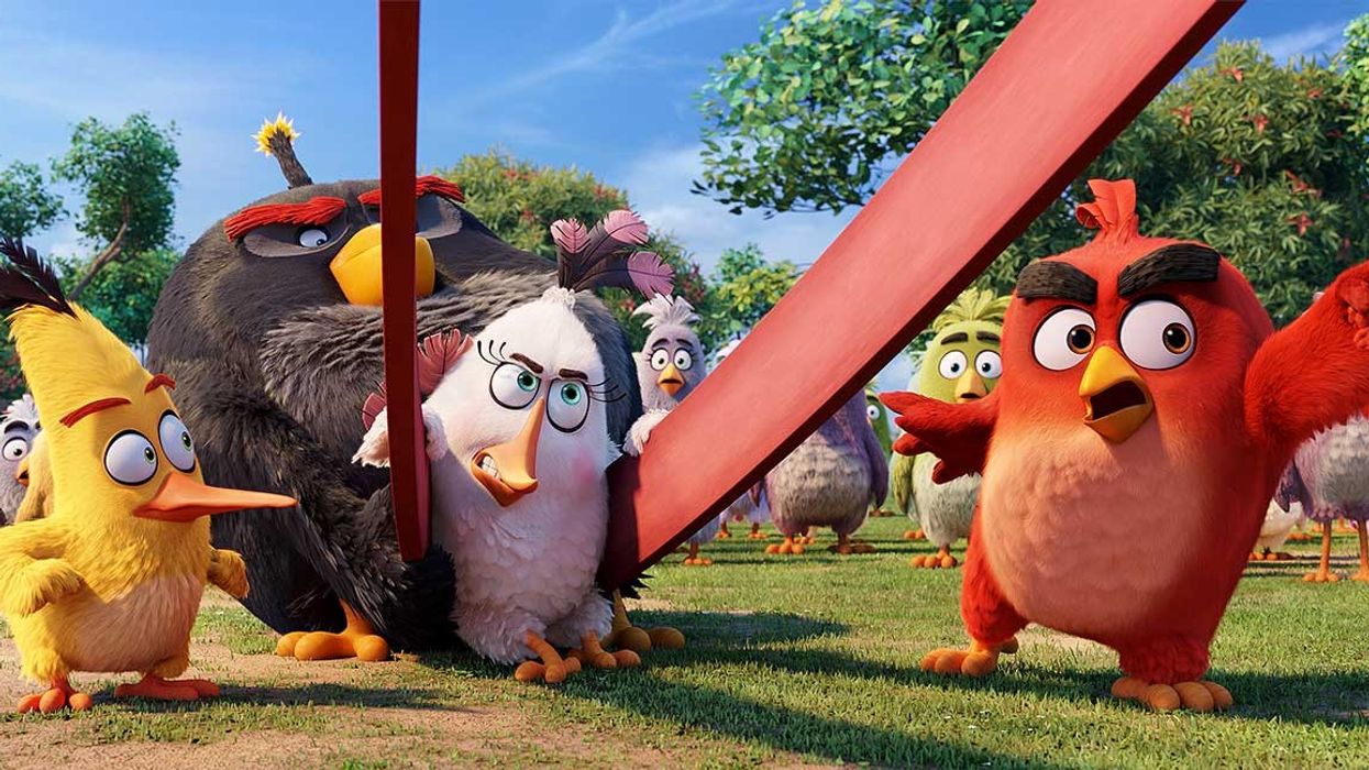 Rovio Angry Birds