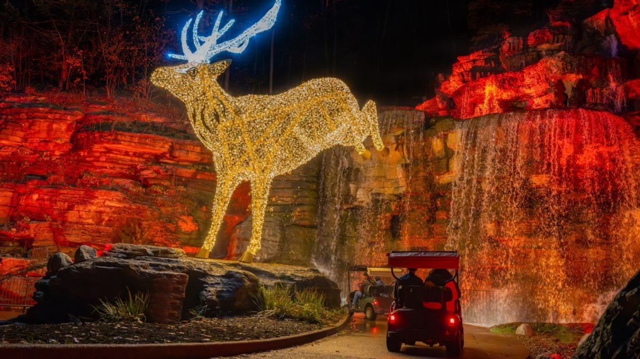 RWS Global partners with Big Cedar Lodge