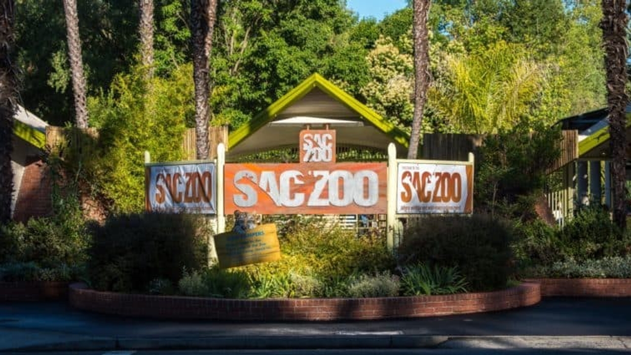 sacramento zoo