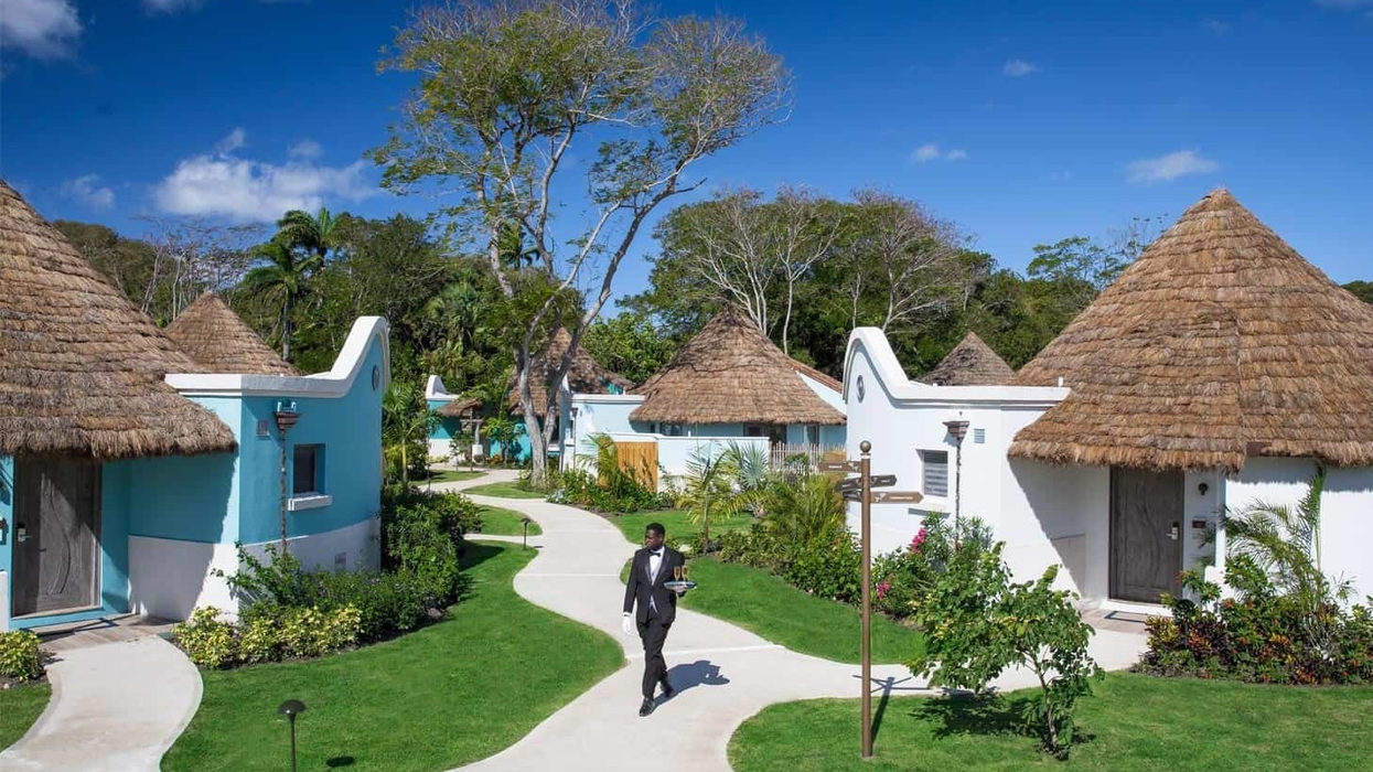 safari thatch