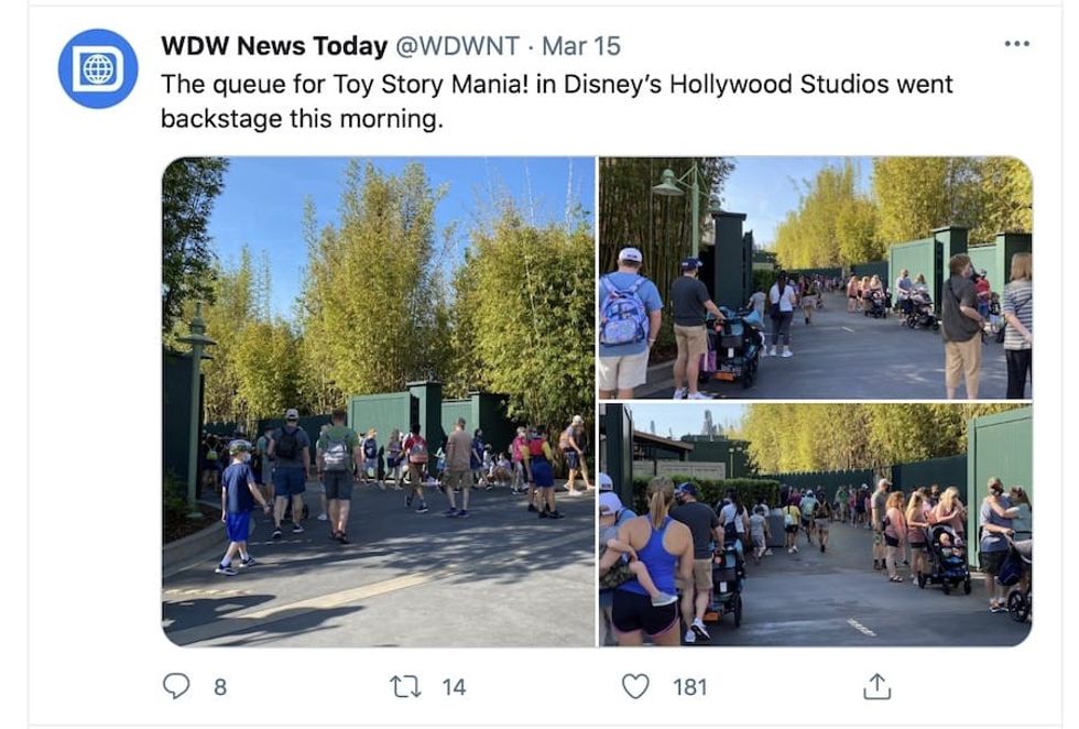 Safe experiences post COVID - long queues at Disney World