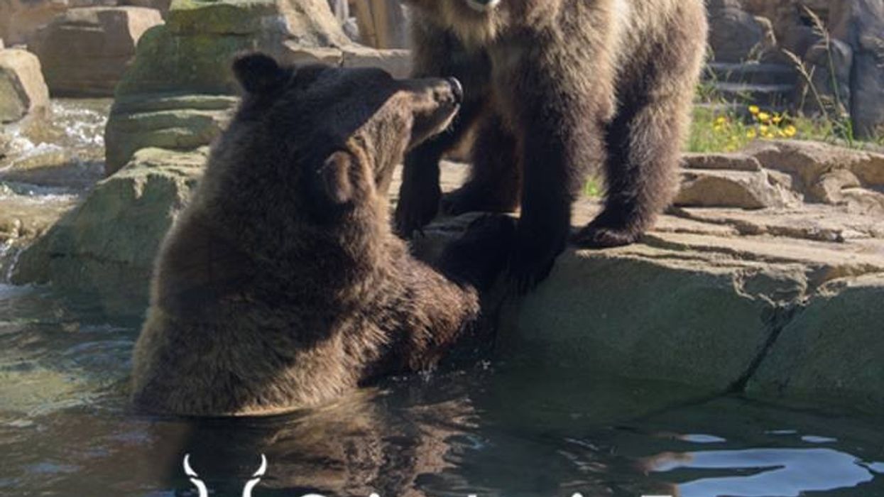 Saint Louis Zoo Association complex purchase for conservation and care of endangered and threatened species.