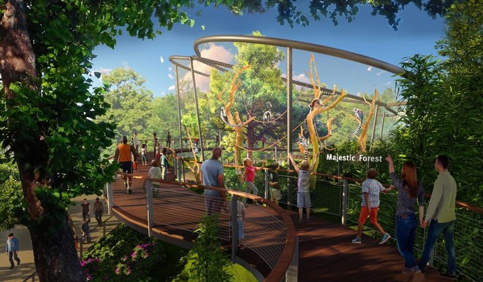 saint louis zoo expansion primate canopy trails