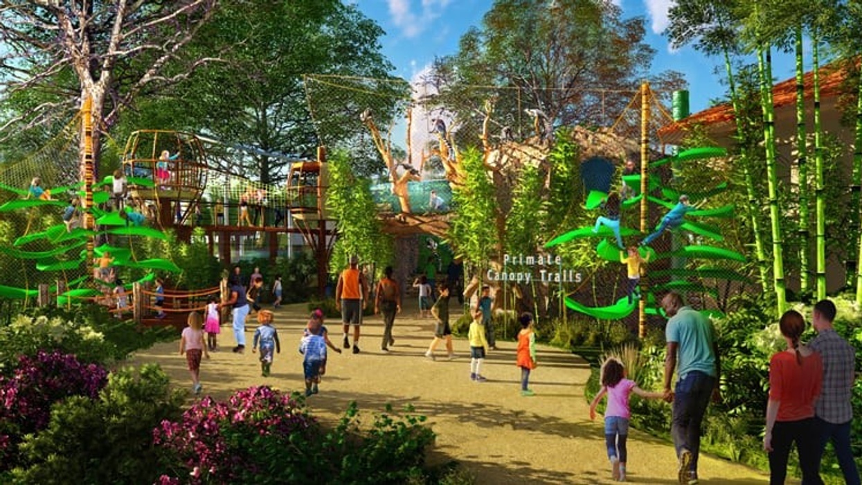 saint louis zoo expansion primate canopy trails