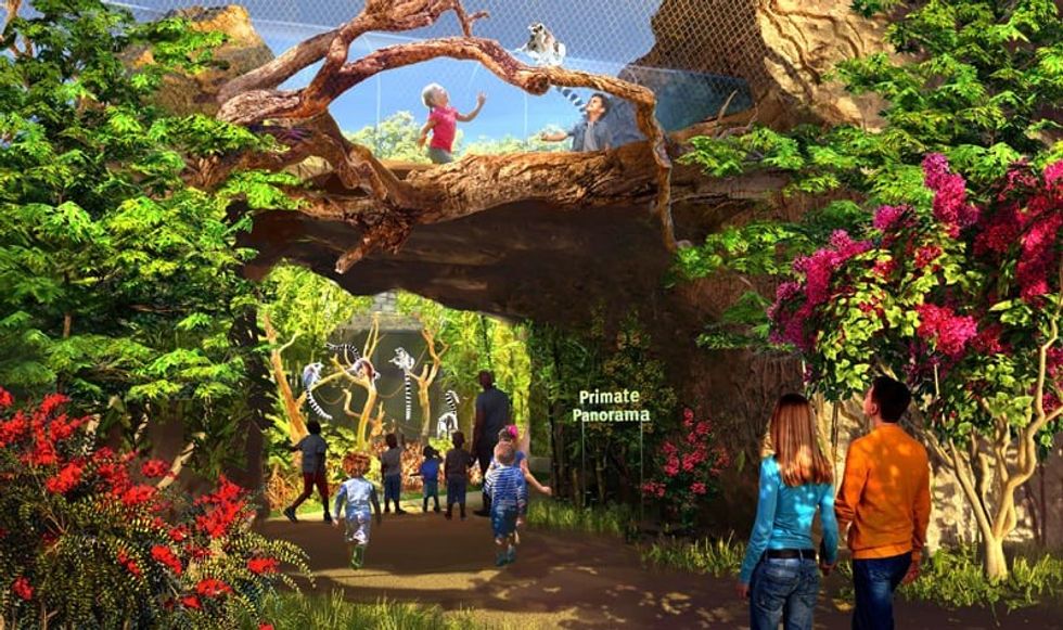 saint louis zoo expansion primate canopy trails