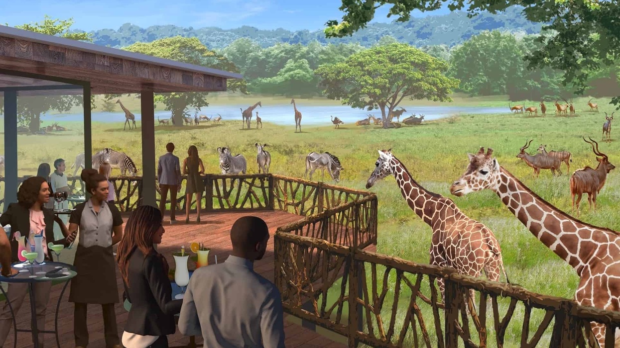 saint louis zoo wildcare park expansion