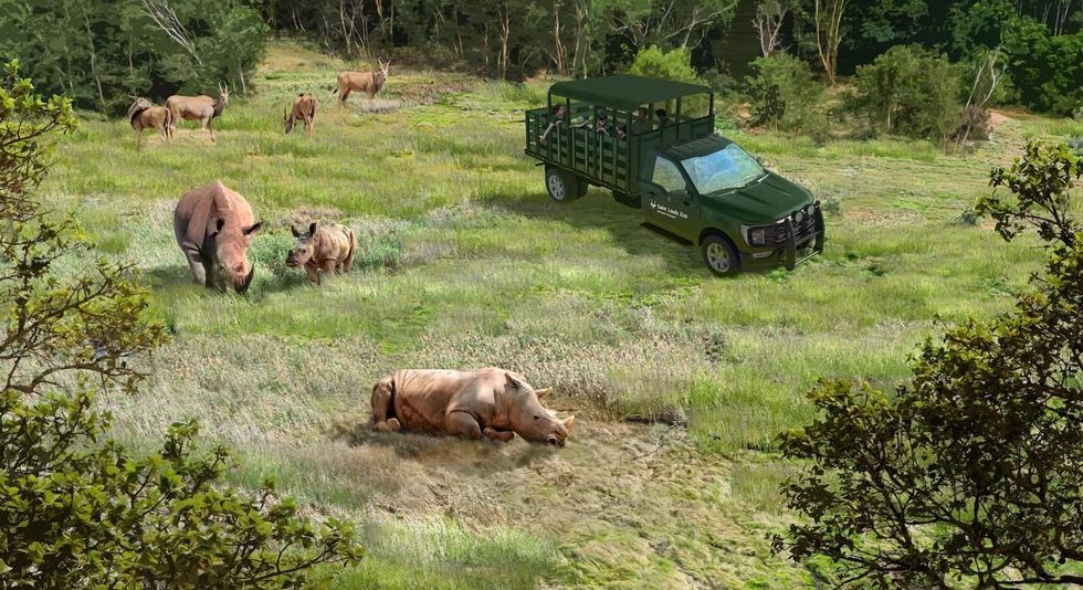 saint louis zoo wildcare park expansion