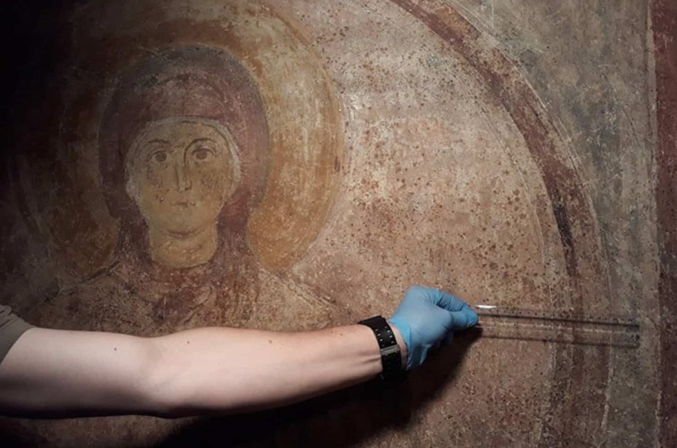 saint sophia kyiv fungus