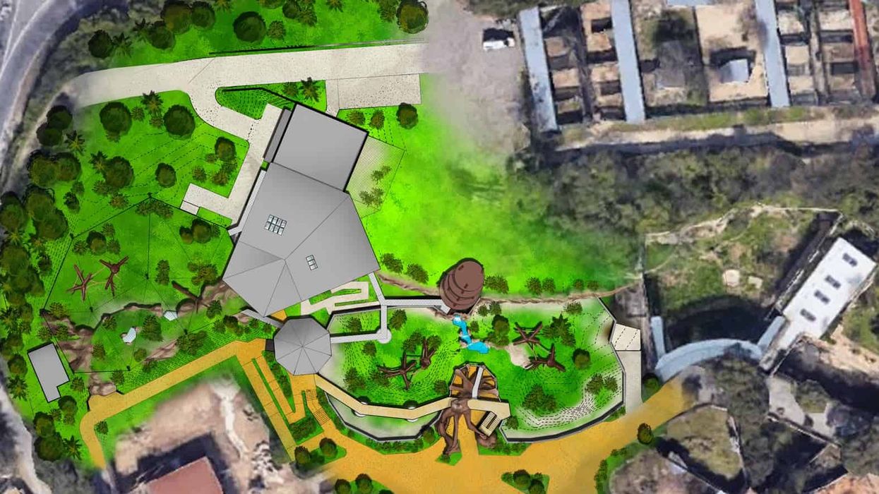 san antonio zoo gorilla habitat