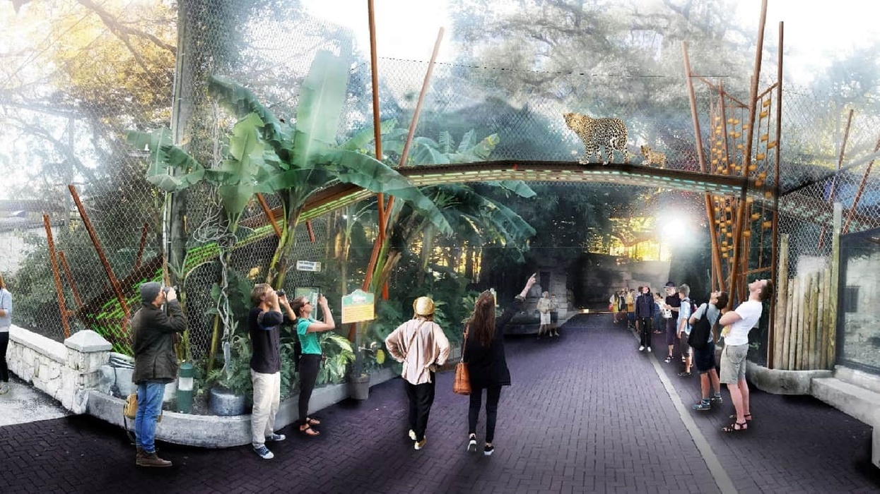 san antonio zoo jaguar habitat