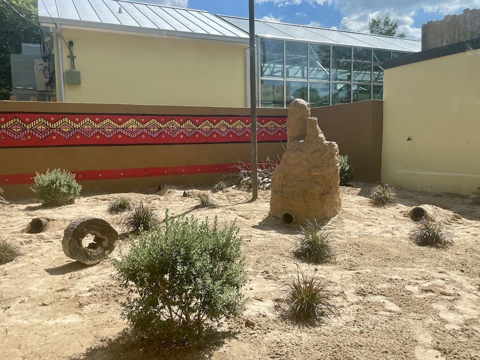 San Antonio Zoo meerkat habitat