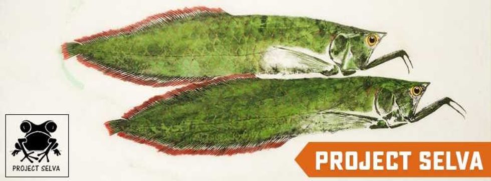 San Antonio Zoo, Project Selva