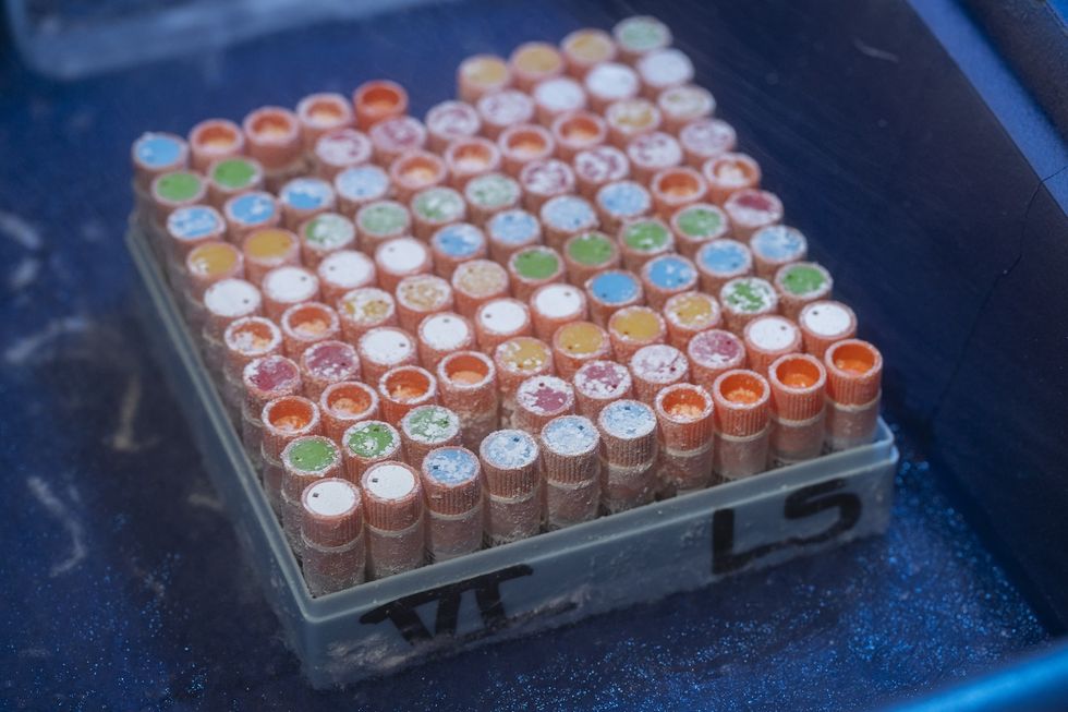 san diego zoo biobanking