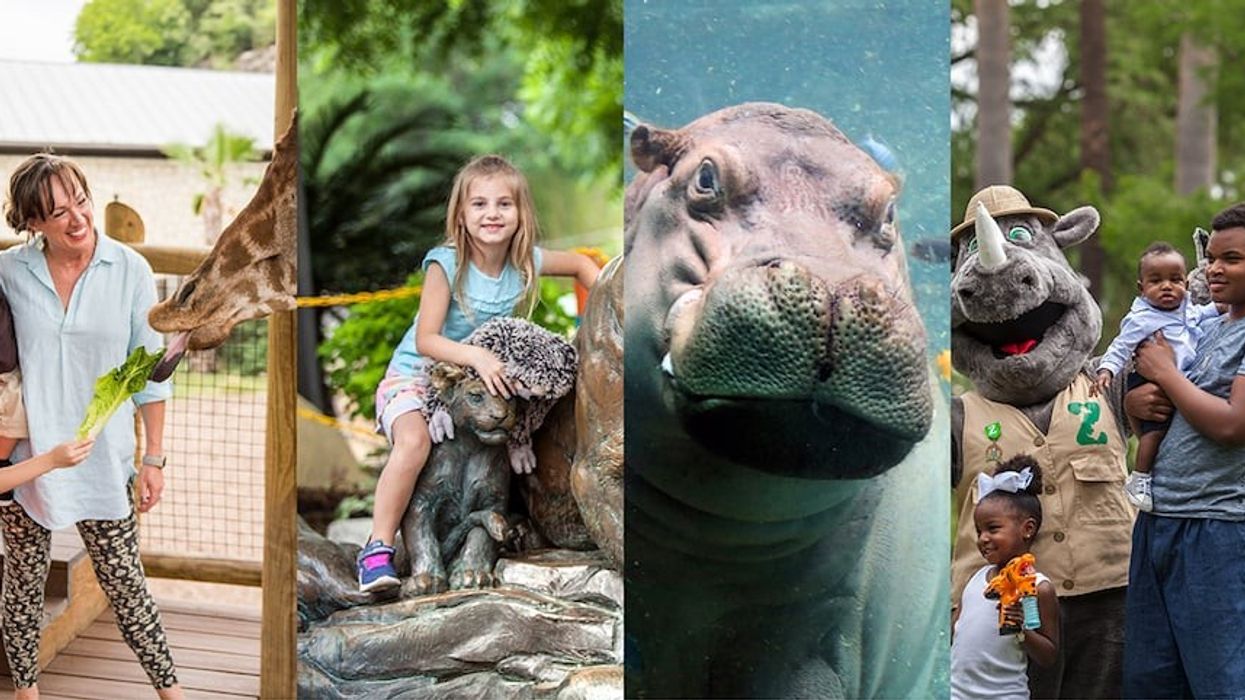 San-Diego-Zoo_photography