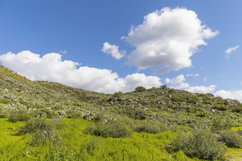 san diego zoo safari park biodiversity reserve