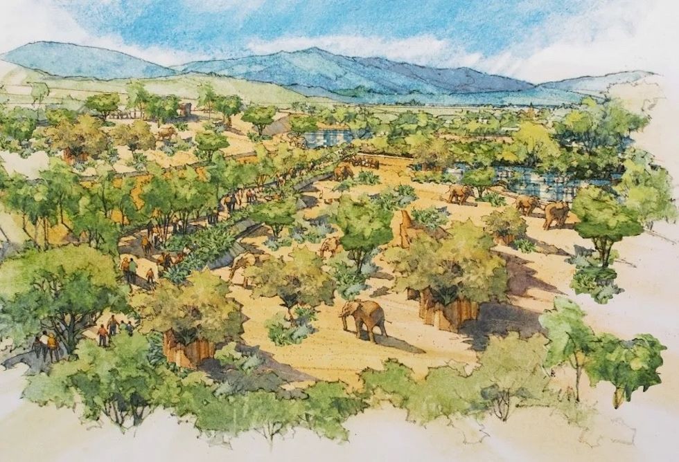 san diego zoo safari park elephant valley