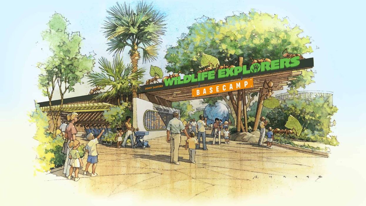 san diego zoo wildlife explorers basecamp
