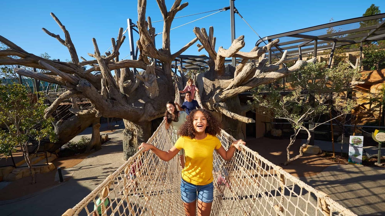 san diego zoo wildlife explorers basecamp