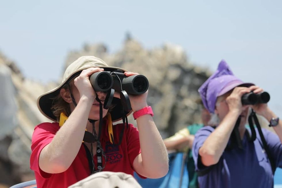 San Juan penguin project Peru 1