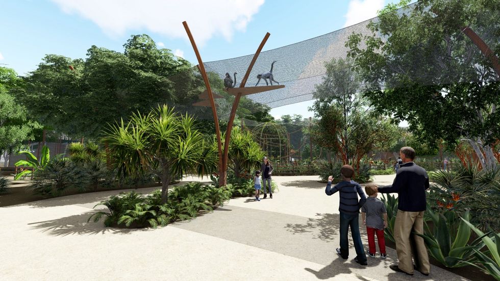 Santa Ana Zoo Primate Forest Concepts