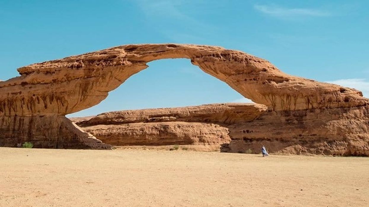 saudi arabia alula