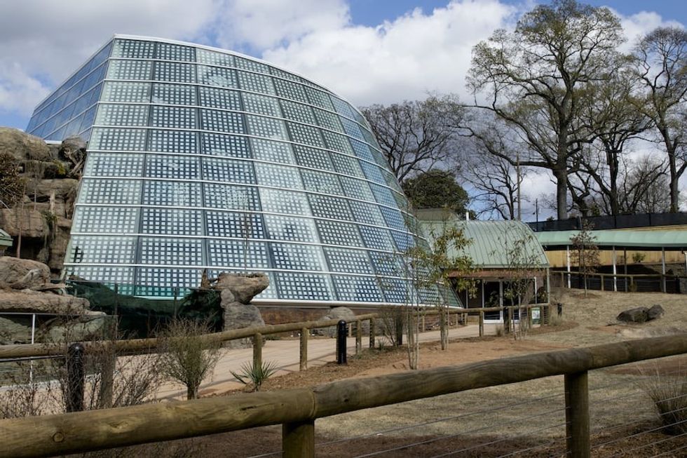 Scaly Slimy Spectacular