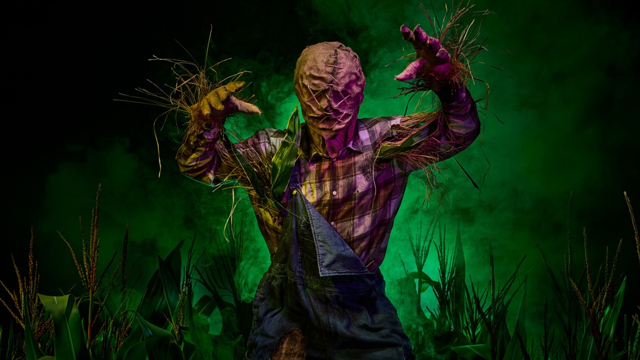 Scarecrow with tattered clothes and straw hands in foggy, eerie green light at Toverland
