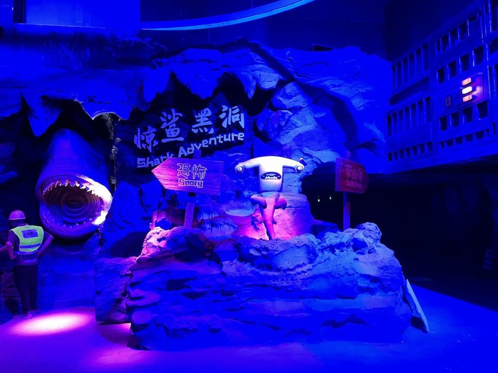 Scaredy Shark Chimelong