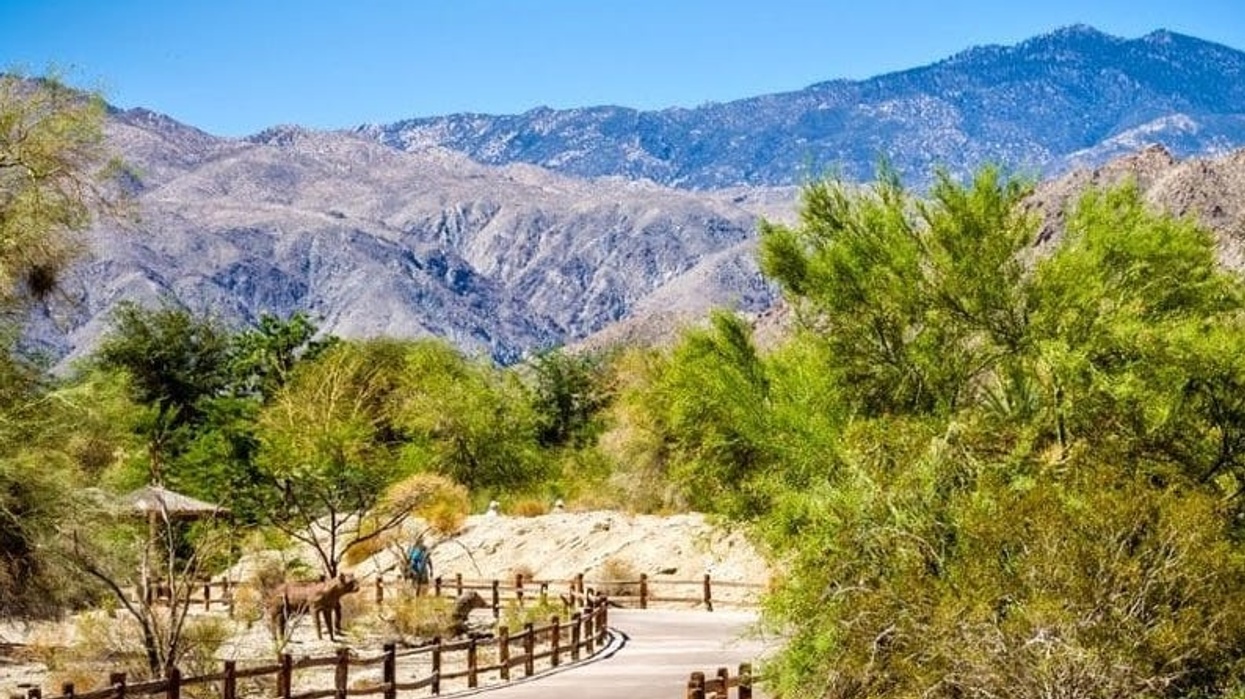 Scenic mountain view with trees, dry landscape, and wooden path under a clear blue sky at The Living Desert Zoo and Gardens