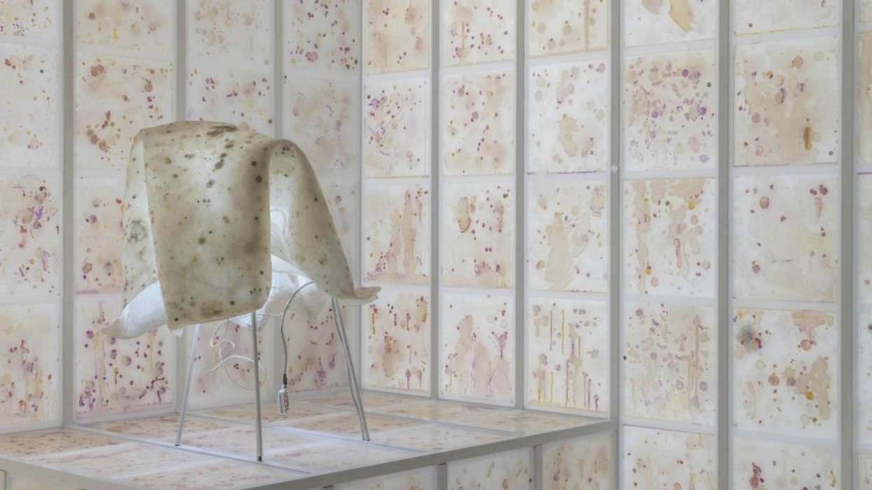 Scent-sational Anicka Yi: Body odour and ant pheromones at the Guggenheim