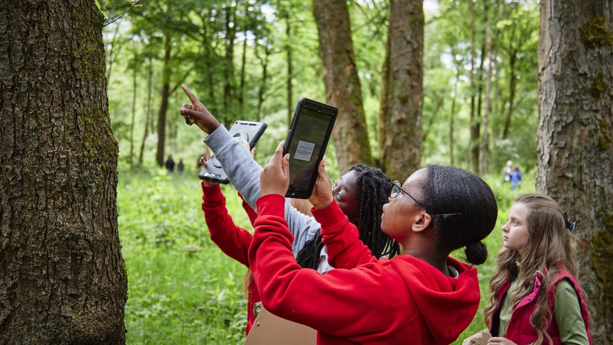 school habitat mapping nature programme