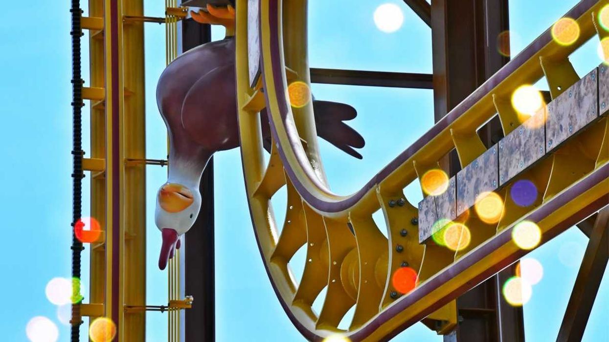 schwaben park roller ball coaster with chicken