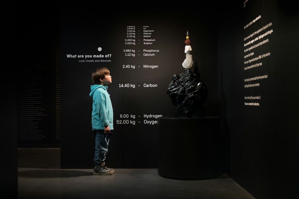 Science Museum Group - YOU:MATTER. Child observing a scientific display about human body elements.