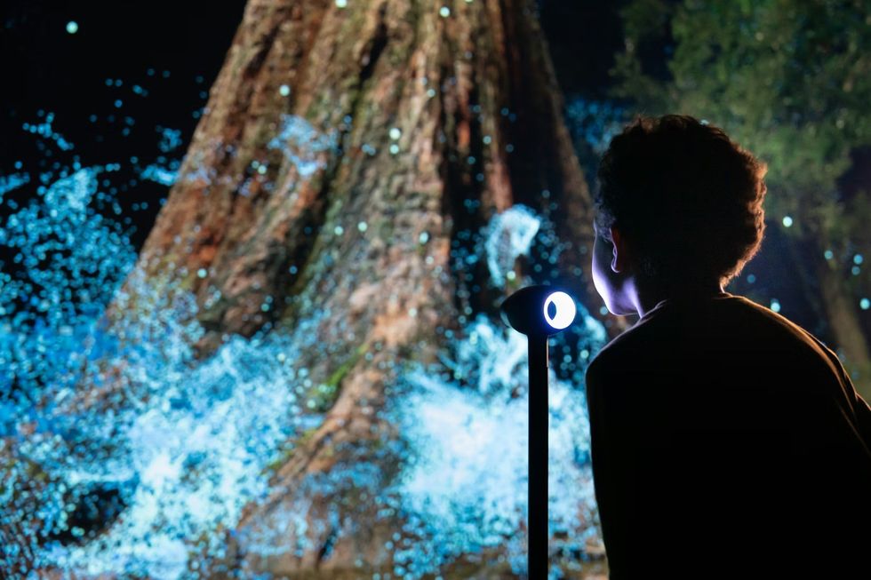 Science Museum Group - YOU:MATTER. Person interacting with a custom-built breath interface, connecting directly to a living digital forest