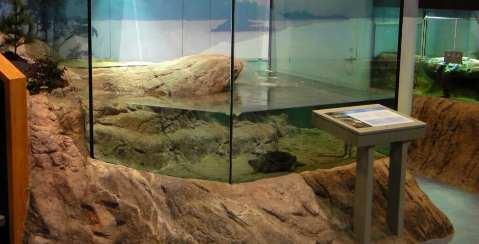 Science North Rockscapes of Canada 