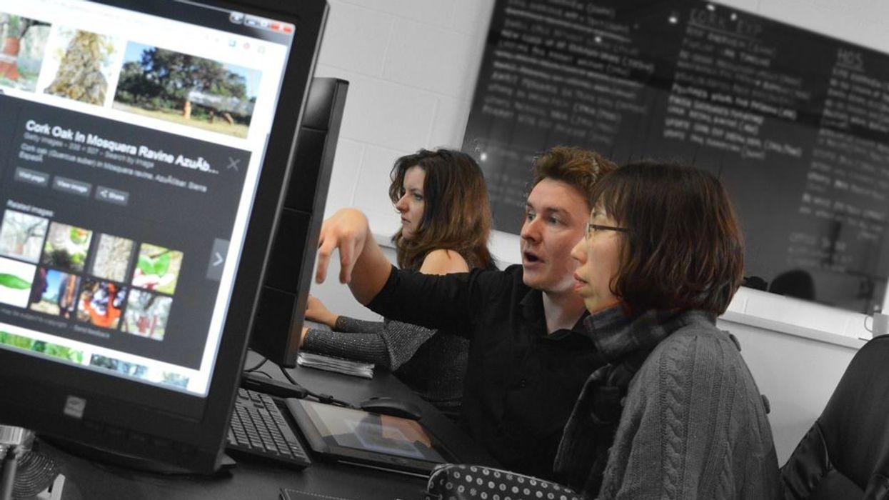 scruffy dog design studio london