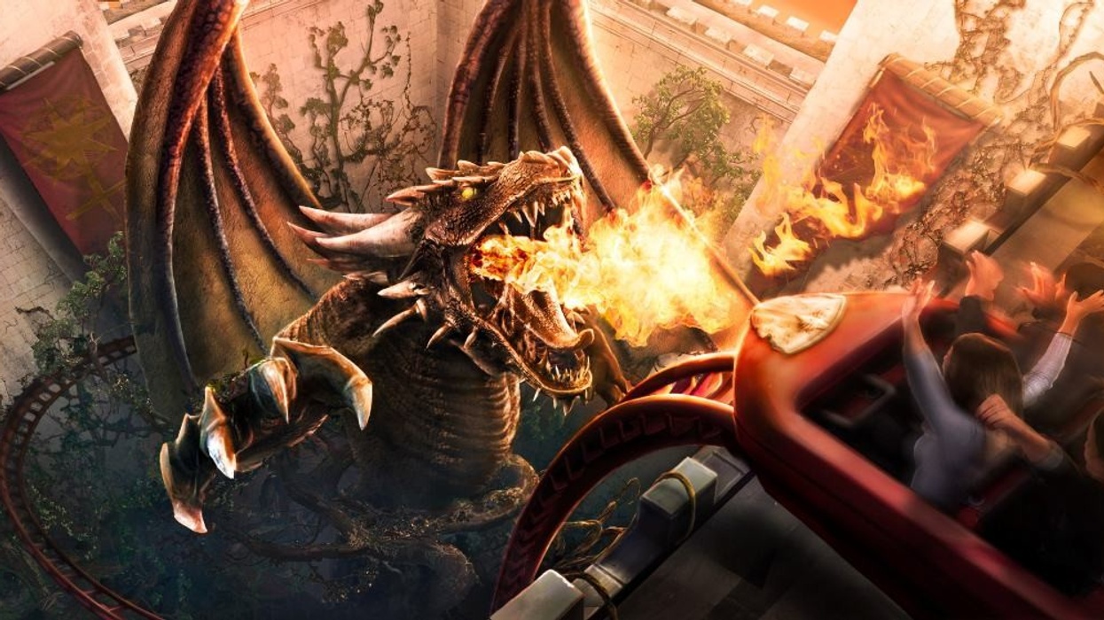 Scruffy Dog Dragon Concept