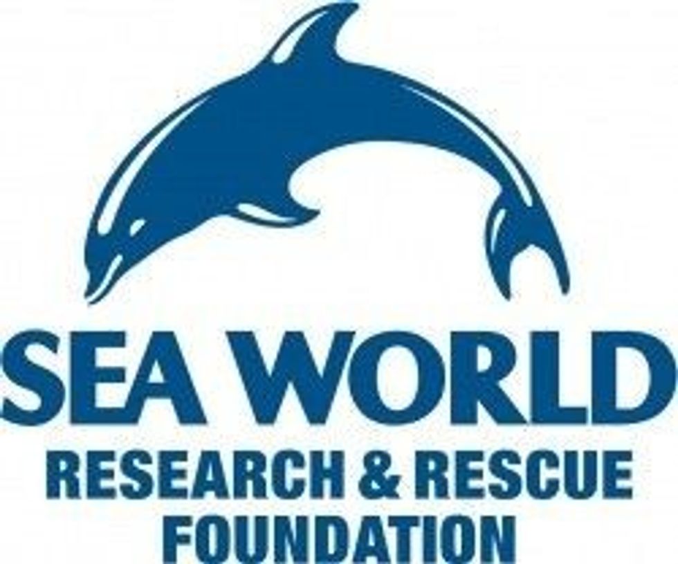 se world research and rescue foundation