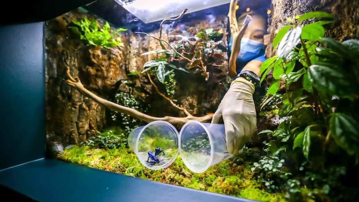 sea aquarium rws