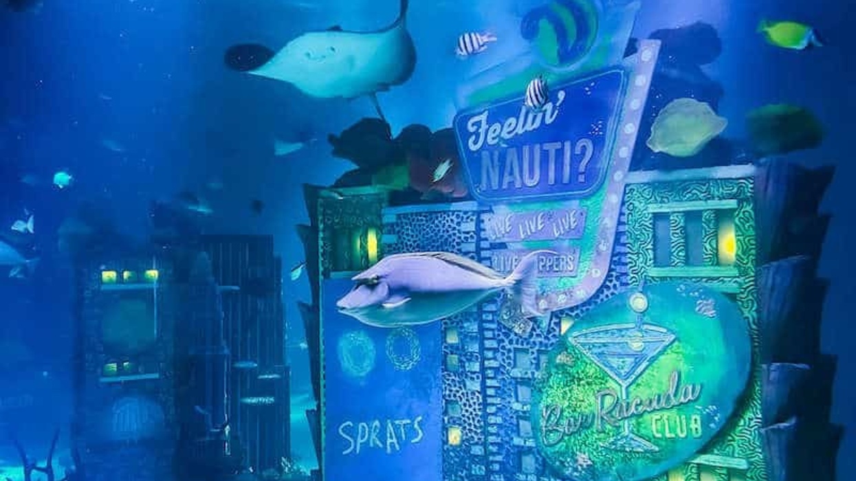 sea life aquarium american dream