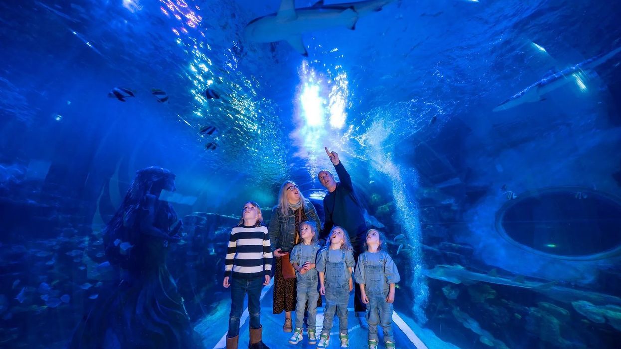 sea life aquarium birmingham