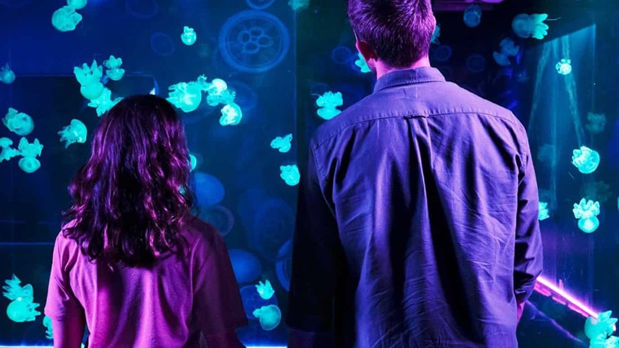 sea life aquarium new jersey