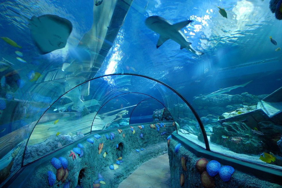 sea life aquarium sustainability trends 2025