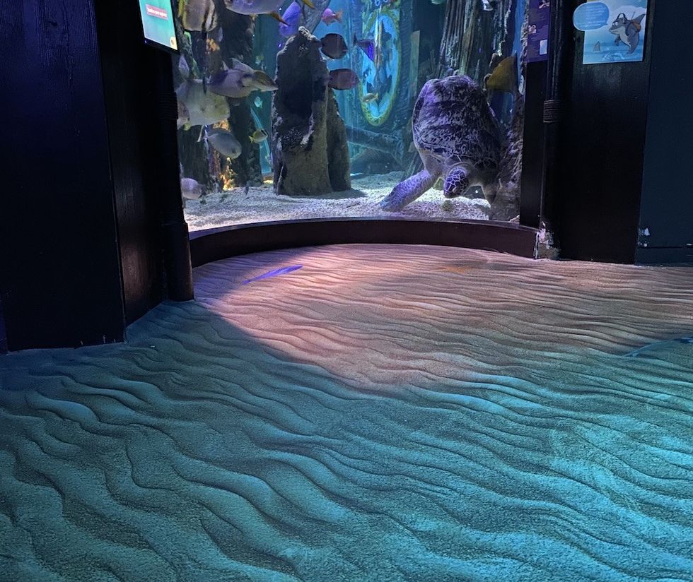 Sea Life Blankenberge floor Beaulieu Creative