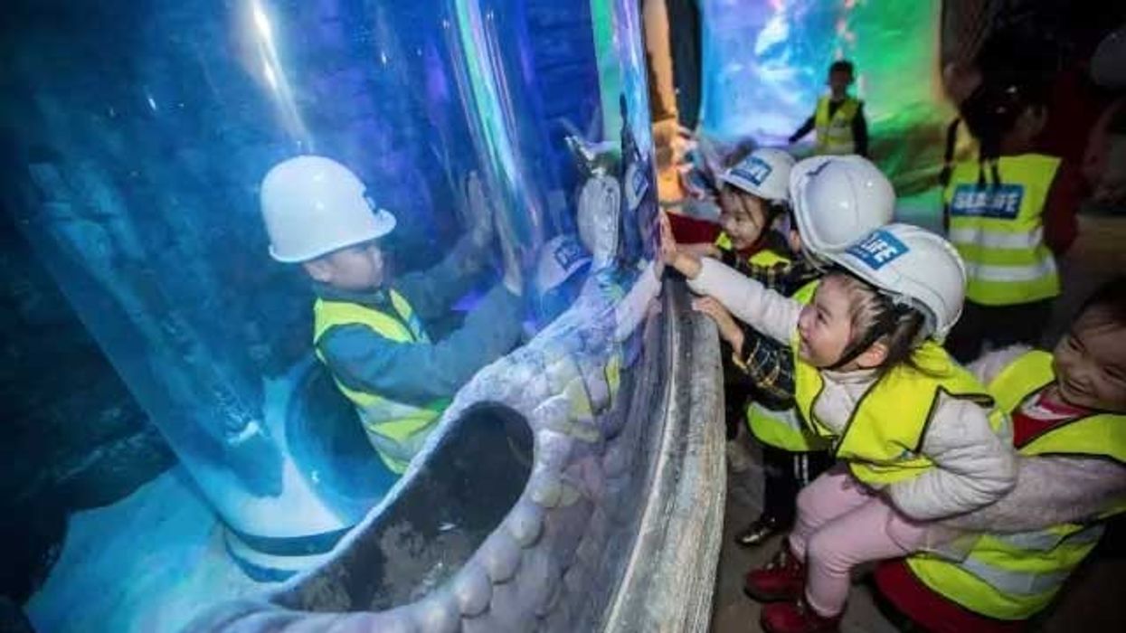 SEA LIFE Chongqing