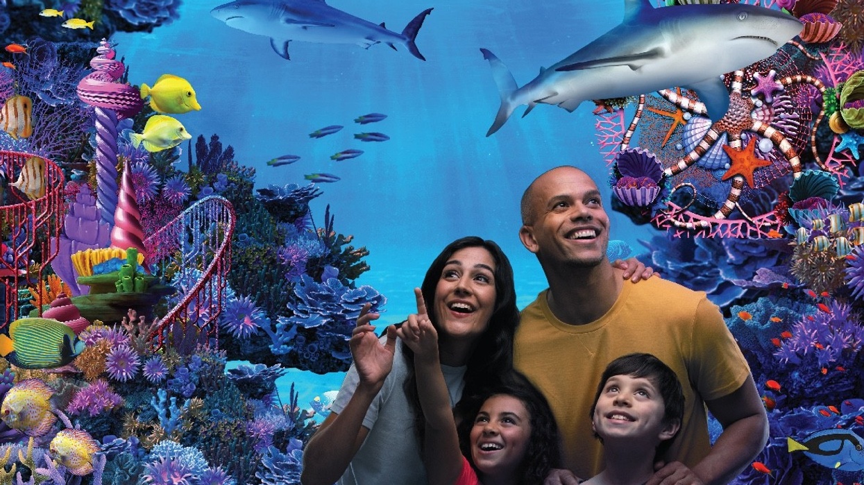 sea life florida