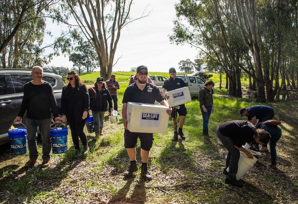 Sea Life group carrying containers through a forested area on a sunny day.