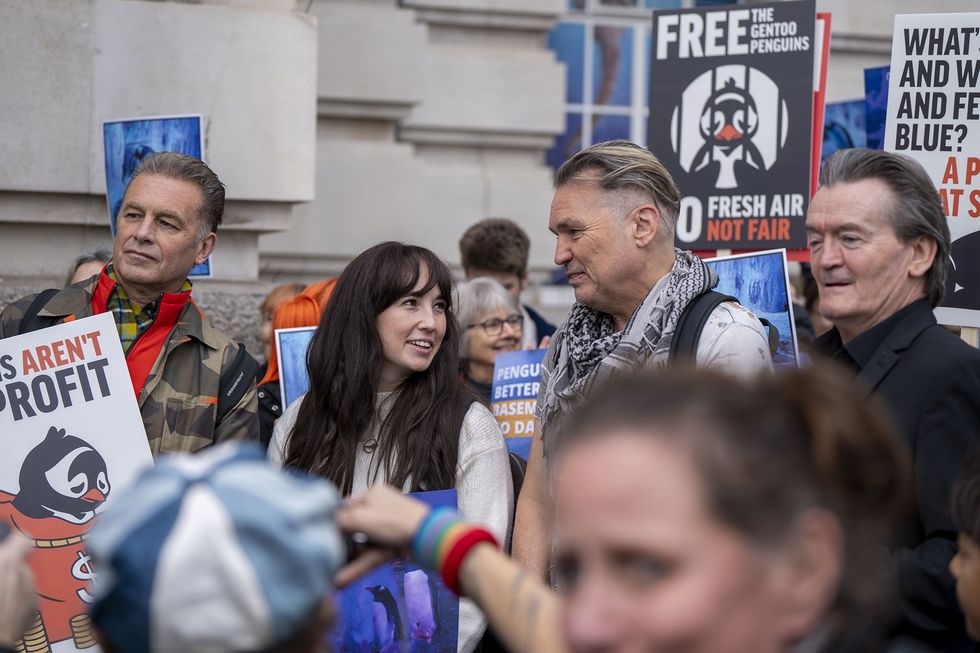 sea life london aquarium demonstration